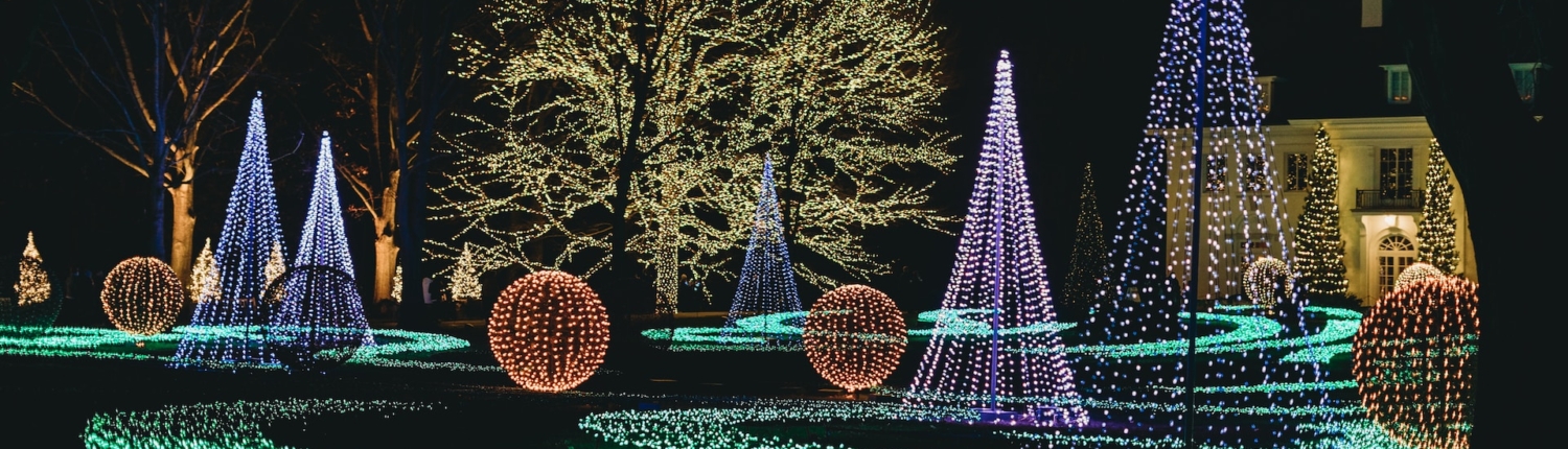 kerstverlichting in de tuin