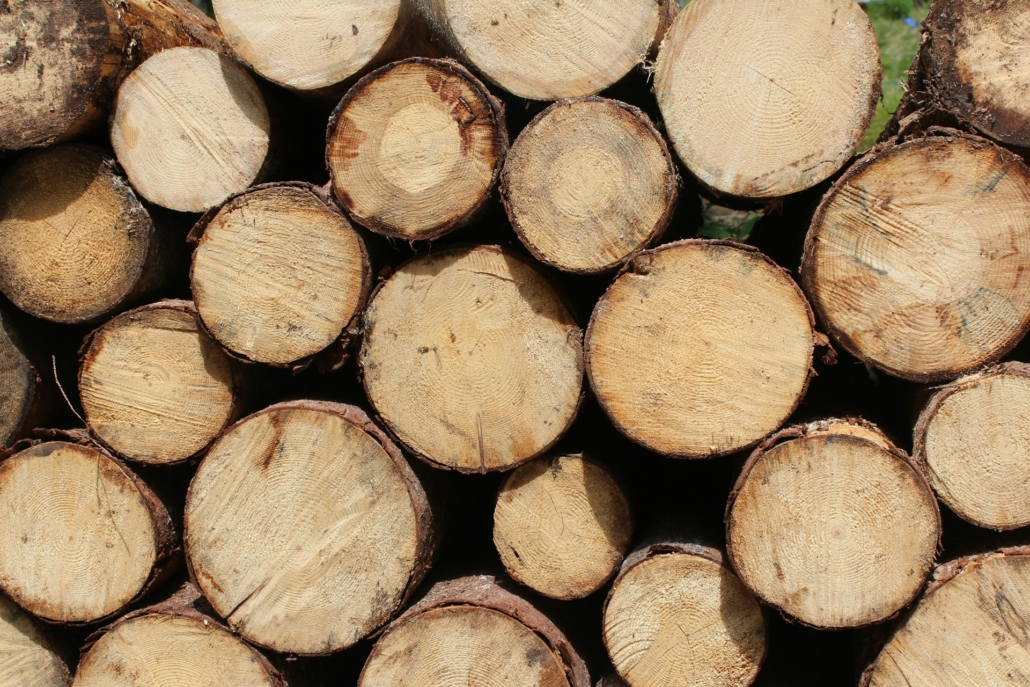 tapel gekloofd haardhout, bestaande uit ronde houtblokken, klaar voor gebruik als brandhout.